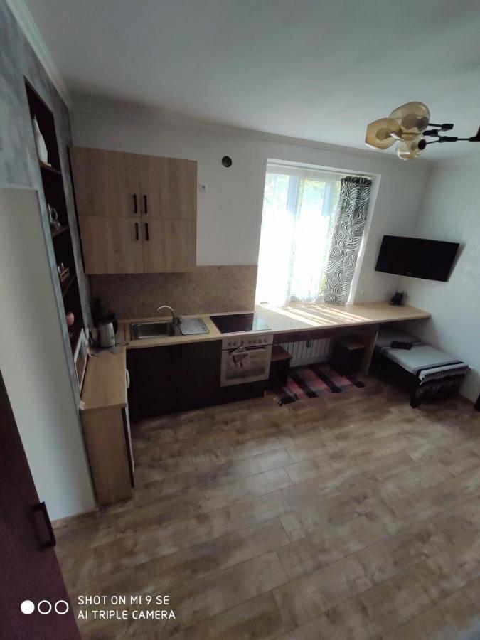 Однокімнатна Квартира-Студія Біля Парку Шевченка Ιβανό-Φρανκίβσκ Εξωτερικό φωτογραφία